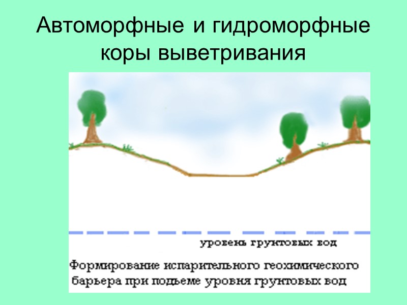 Автоморфные и гидроморфные коры выветривания